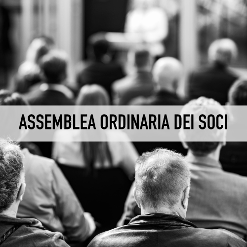 Assemblea ordinaria dei soci