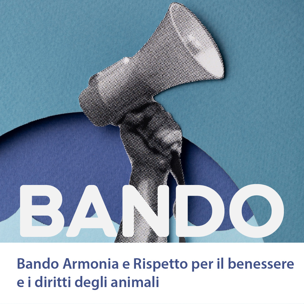 Bando Armonia e Rispetto per il benessere e i diritti degli animali